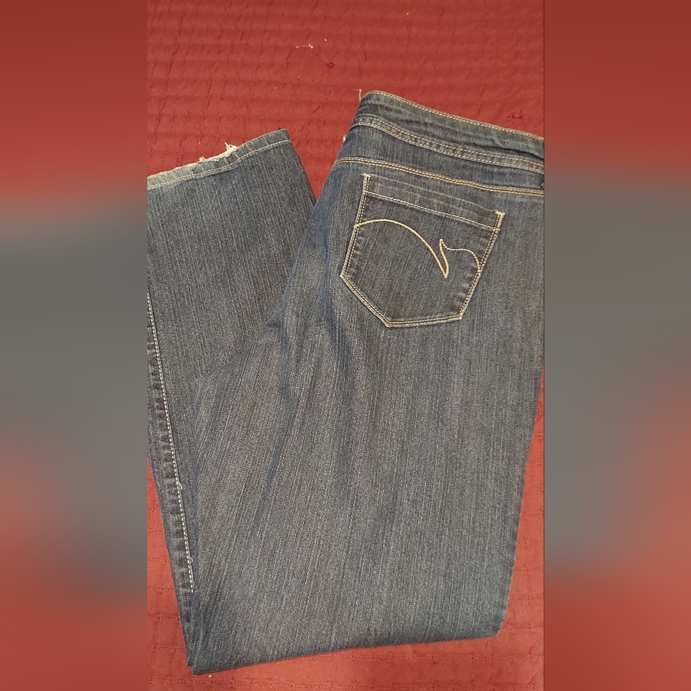 Gloria Vanderbilt 18 Jeans